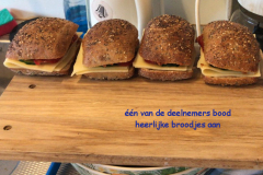 zaterdag 1a